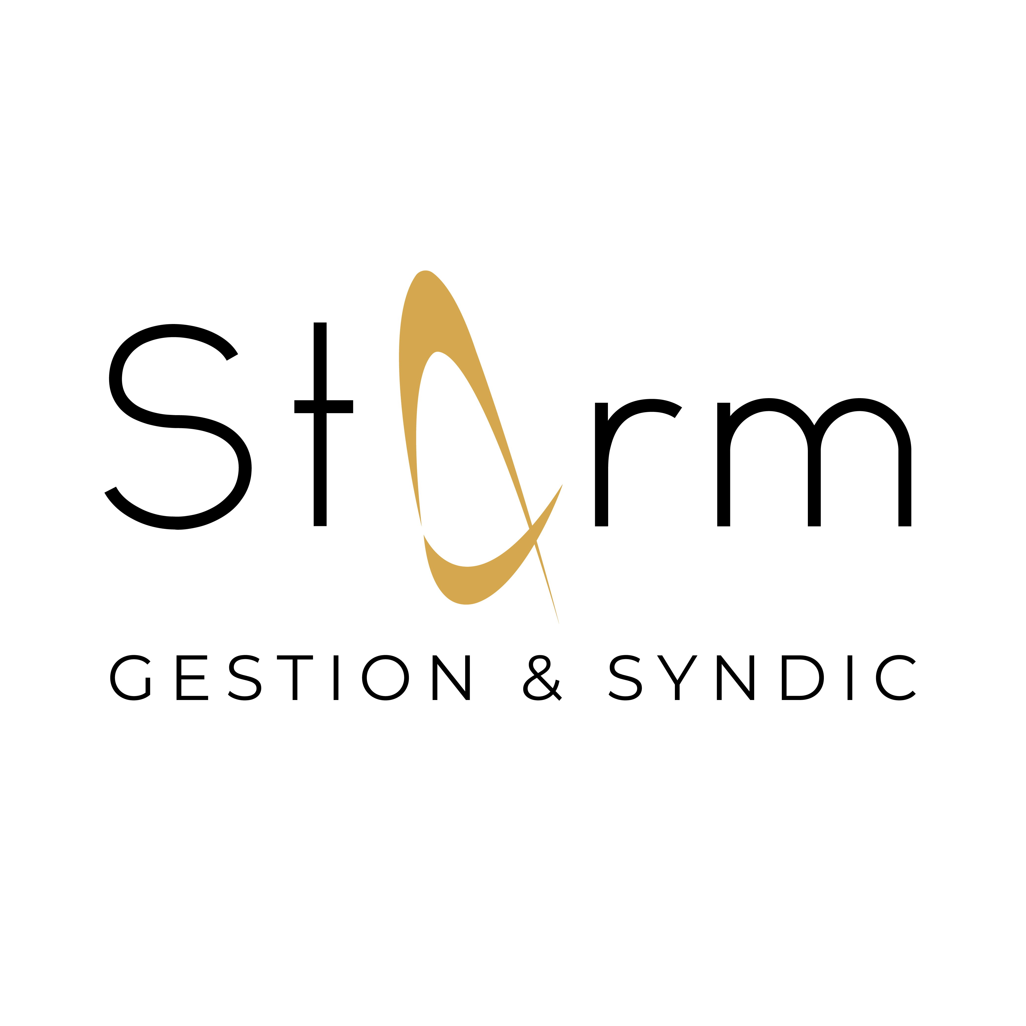 Storm Gestion & Syndic